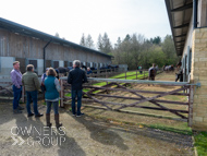 BP200326-83 - Ben Pauling Stable Visit